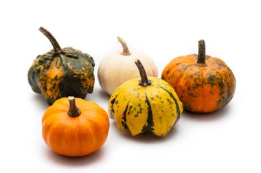 Renkli kabak ve squash beyaz arka plan üzerinde