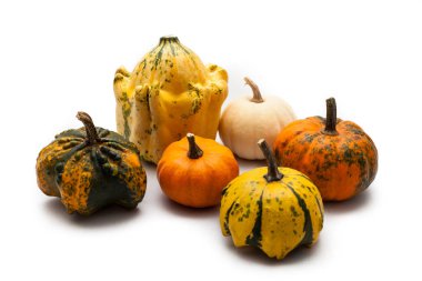 Renkli kabak ve squash