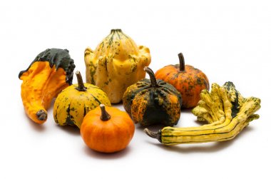 Renkli kabak ve squash beyaz arka plan üzerinde