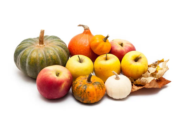 Färgglada pumpa och squash och äpplen — Stockfoto