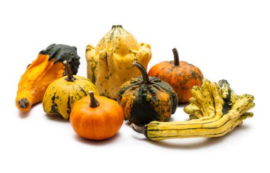 Renkli kabak ve squash beyaz arka plan üzerinde