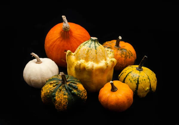 Calabaza Colorida Calabaza Sobre Fondo Negro —  Fotos de Stock