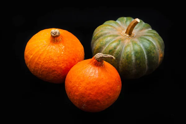 Colorful pumpkin and squash, Red Kuri, Kabocha, — Stock Photo, Image