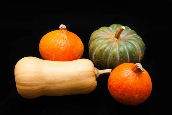 Calabaza Colorida Calabaza Sobre Fondo Negro —  Fotos de Stock