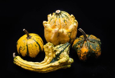 Renkli kabak ve squash