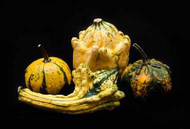 Renkli kabak ve squash siyah arka plan üzerine