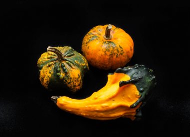 Renkli kabak ve squash siyah arka plan üzerine