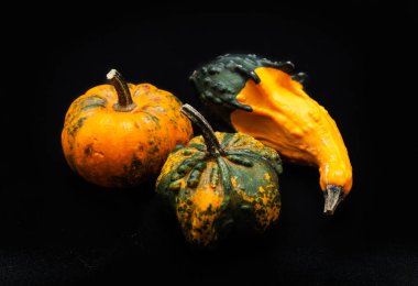 Renkli kabak ve squash