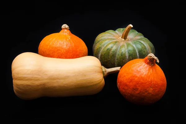 Citrouille et courge colorées, Kuri rouge, Kabocha, Noyer cendré — Photo