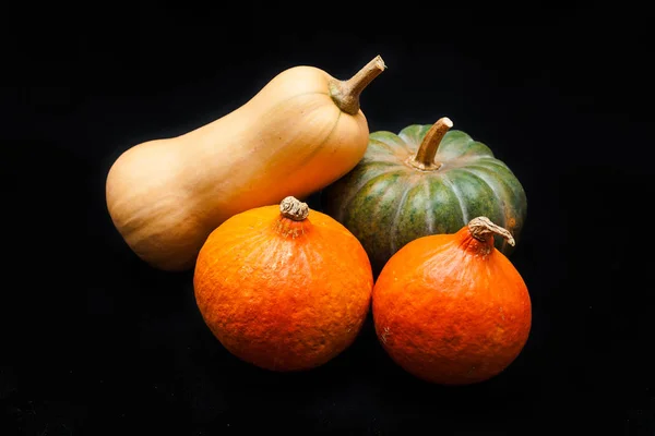 Citrouille et courge colorées, Kuri rouge, Kabocha, Noyer cendré — Photo