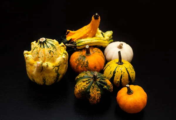 Färgglada pumpa och squash — Stockfoto