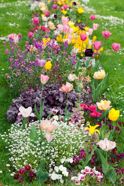 Květiny v jarním parku město Štrasburk, tulipány — Stock fotografie