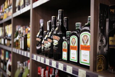 Aytos, Bulgaristan - Januari 24, 2017: Şarap dükkanı, şarap şişeleri.