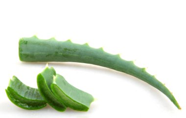 aloe vera beyaz arkaplanda izole
