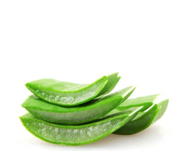 aloe vera beyaz arkaplanda izole
