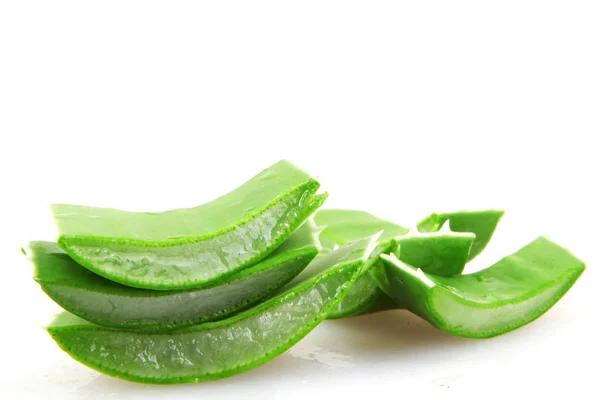 Aloe Vera isoliert auf weißem Hintergrund — Stockfoto