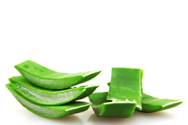 Aloe vera isolado sobre fundo branco — Fotografia de Stock