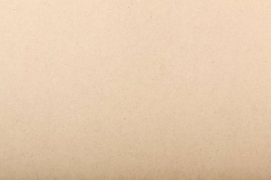 Kontrplak doku - renkli görüntü