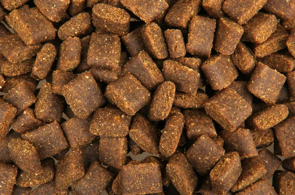 Dry dog food - color image Stock Picture