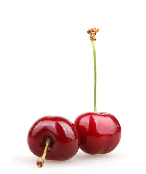 Cherry isolato su sfondo bianco — Foto Stock