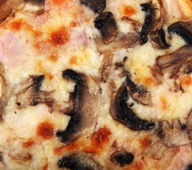 taze pişmiş pizza malzemeleri