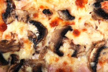 taze pişmiş pizza malzemeleri