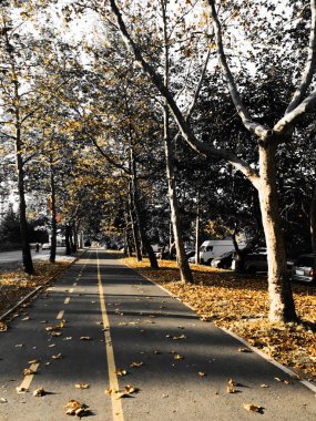 Sonbahar Park City - renkli görüntü