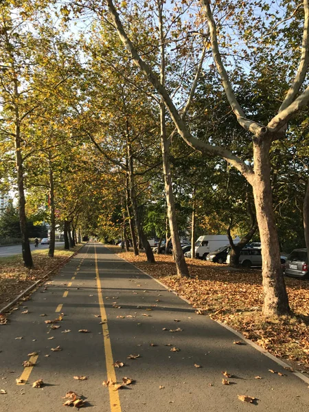 Jesień w Park City - kolor obrazu — Zdjęcie stockowe