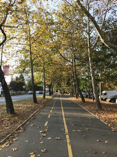 Jesień w Park City - kolor obrazu — Zdjęcie stockowe
