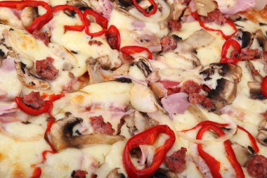 Güzel taze pizza - renkli görüntü