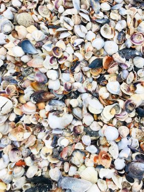 Deniz kum arka plan renk görüntüsü