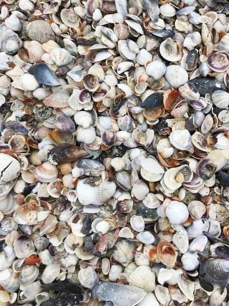 Meer Sand Hintergrund Farbe Bild — Stockfoto