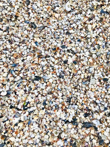 Sea Sand Background Color Image — Stock Photo, Image