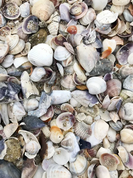 Sea Sand Background Color Image — Stock Photo, Image