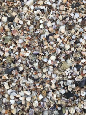 Deniz kum arka plan renk görüntüsü