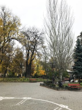 Odessa, Ukrayna - 17 Kasım 2017: Ulitsa Deribasovskaya Odessa, Ukrayna'nın merkezinde bir yaya geçit olduğunu.