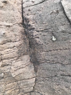 Taş doku - renkli görüntü arka plan