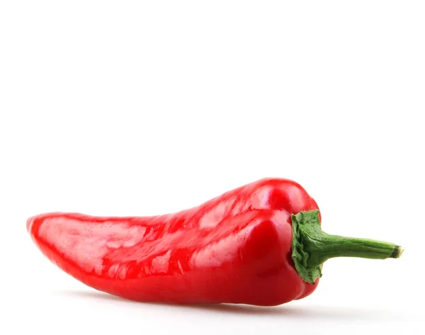 Paprika Elszigetelt Fehér Backround — Stock Fotó