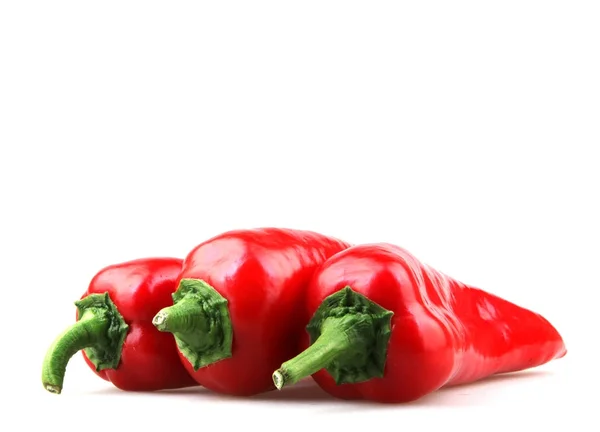 Paprika Elszigetelt Fehér Backround — Stock Fotó