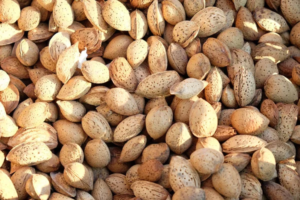 Background Almonds Color Image — Stock Photo, Image