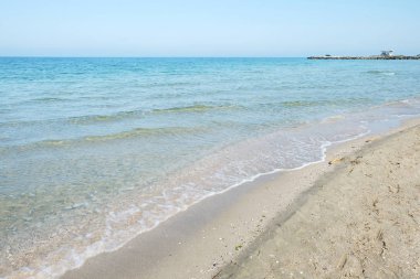 Sahil ve Deniz Parlak Günışığında