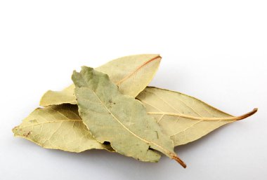 Beyaz arka planda kuru defne yaprağı. Laurus nobilis.