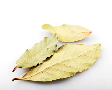Beyaz arka planda kuru defne yaprağı. Laurus nobilis.