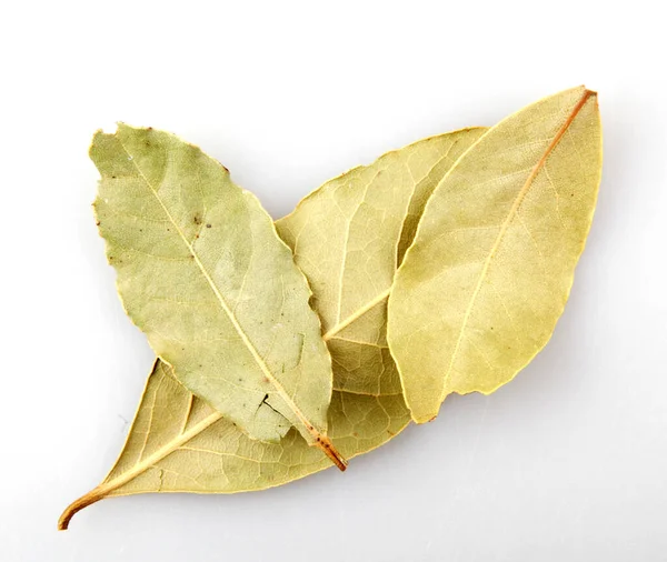 Hoja Laurel Seca Sobre Fondo Blanco Laurus Nobilis — Foto de Stock