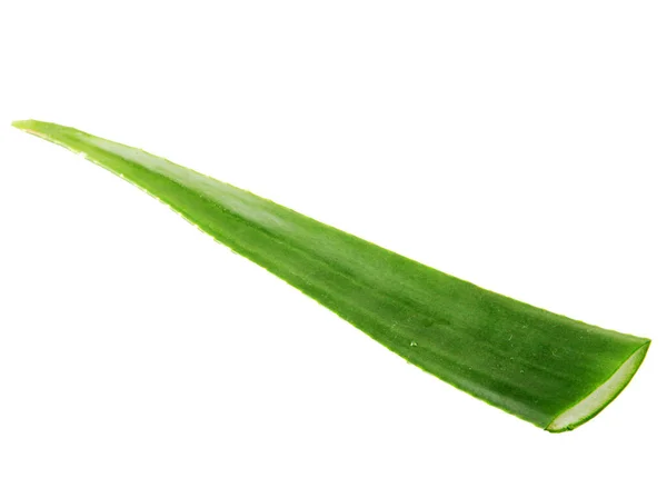 Aloe Vera Auf Weißem Hintergrund — Stockfoto