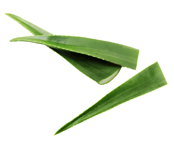 Aloe Vera Beyaz Arkaplanda — Stok fotoğraf