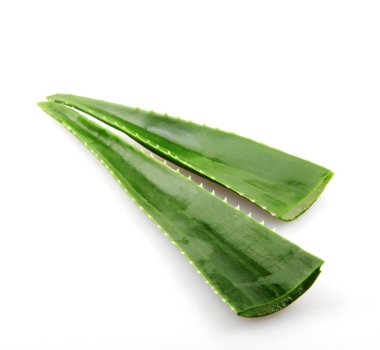 beyaz zemin üzerinde aloe vera yaprağı