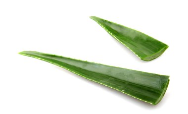 beyaz zemin üzerinde aloe vera yaprağı