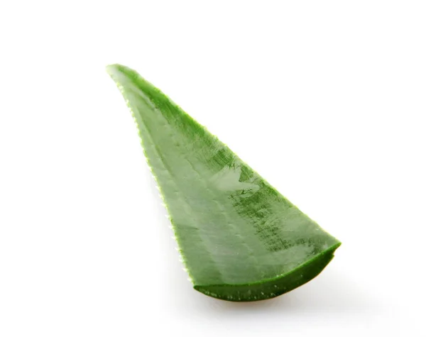 Aloe Vera Blad Vit Bakgrund — Stockfoto