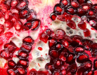 Taze Nar Arkaplanının Yakın Çekimi